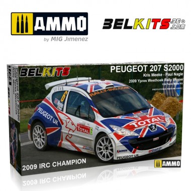 1/24 Peugeot 207 S2000...