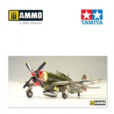 1/72 Republic P-47D...
