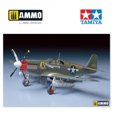 1/48 North American P-51B...