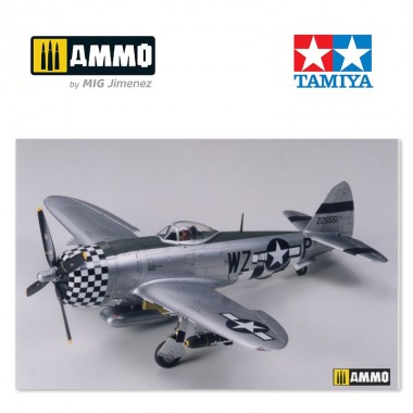 1/48 Republic P-47D...
