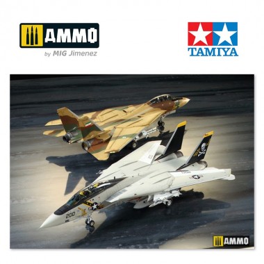 1/48 Grumman F-14A Tomcat