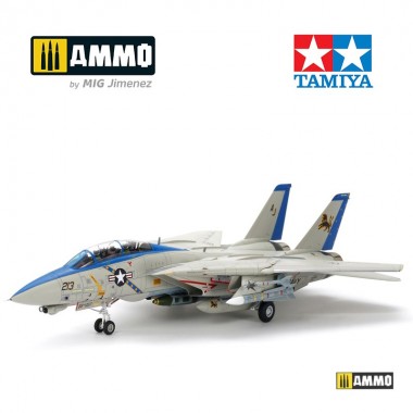 1/48 Grumman F-14D Tomcat