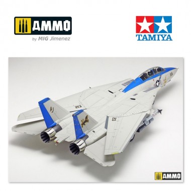 1/48 Grumman F-14D Tomcat