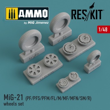 1/48 MiG-21...
