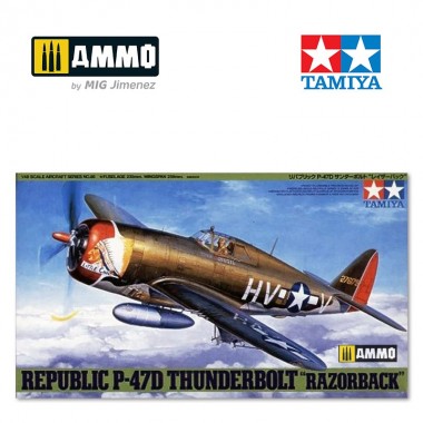 1/48 Republic P-47D...