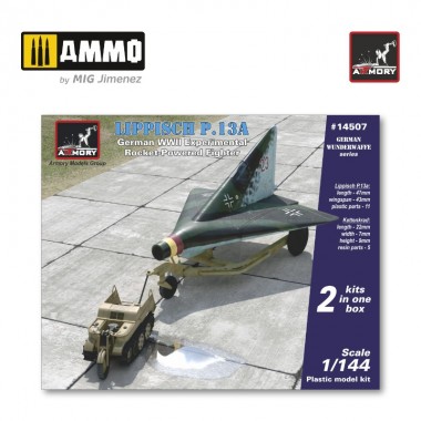1/144 Lippisch P.13a con...