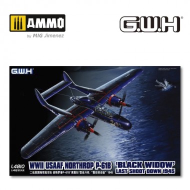 1/48 WWII USAAF Northrop...