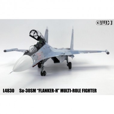 1/48 Su-30SM "Flanker H"...