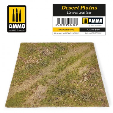 Llanuras del Desierto