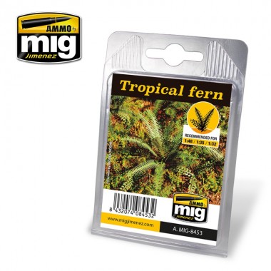 Helecho T4ropical
