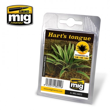 Helecho Lengua de Hart