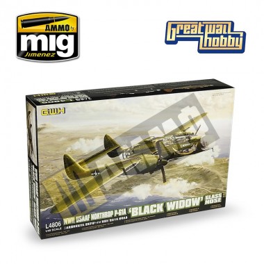 1/48 WWII USAAF Northrop...