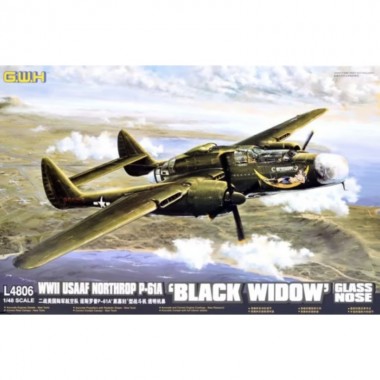 1/48 WWII USAAF Northrop...