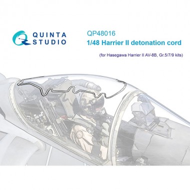 1/48 Harrier II Detonation...