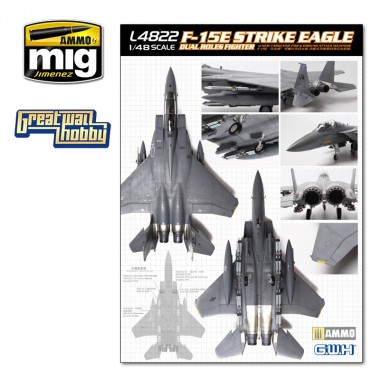 1/48 F-15E Strike Eagle...