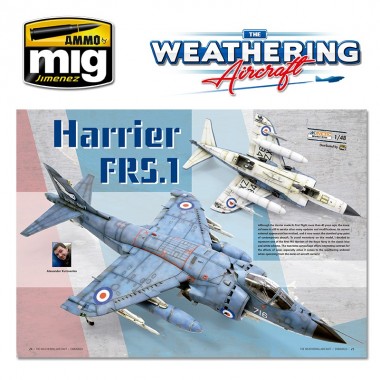 THE WEATHERING AIRCRAFT 11...