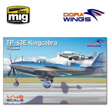 1/48 Bell TP-63E Kingcobra...