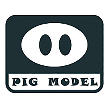 Pig Model